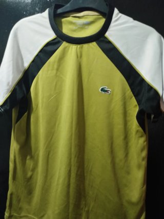 Camiseta Lacoste Talla M Verde y Blanca