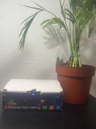Luces de Navidad LED Multicolor
