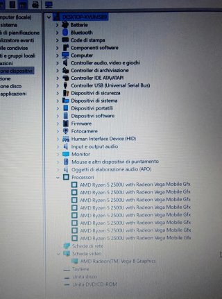 HP 255 G7 15' FHD RYZEN Portatile