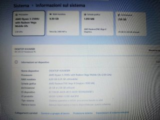 HP 255 G7 15' FHD RYZEN Portatile