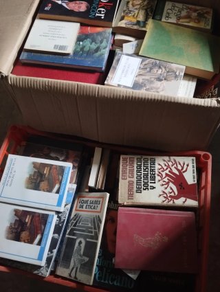 Lote de libros variados