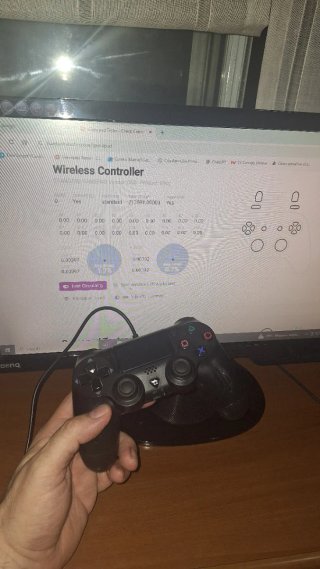 Mando Inalámbrico PS4 / PC - Data Frog