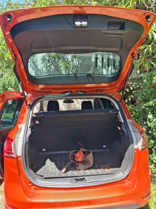 Ford B-MAX 2013