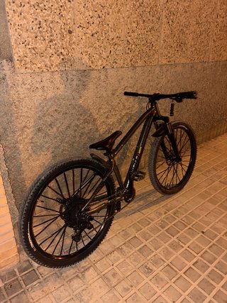 Bicicleta de montaña
