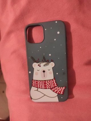 Lote 5 Fundas iPhone 11 Pro