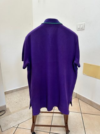 Polo Ralph Lauren Viola e Verde Taglia L big pony