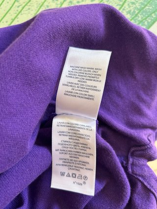 Polo Ralph Lauren Viola e Verde Taglia L big pony
