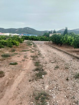 Terreno en venta en xereza