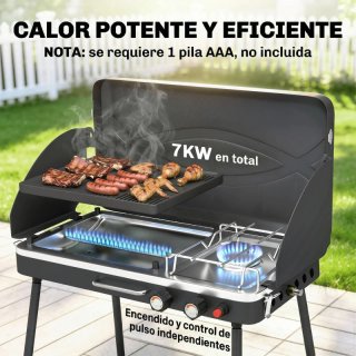 Barbacoa Gas Portátil