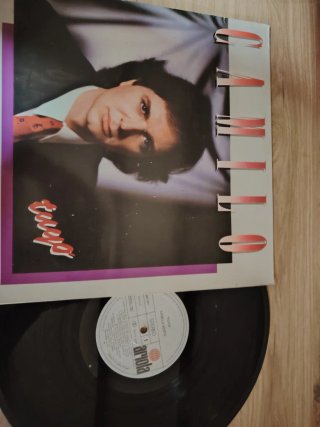 Vinilo Camilo Sesto - Todo a Color