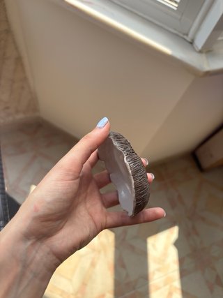 Coco em cerâmica fria