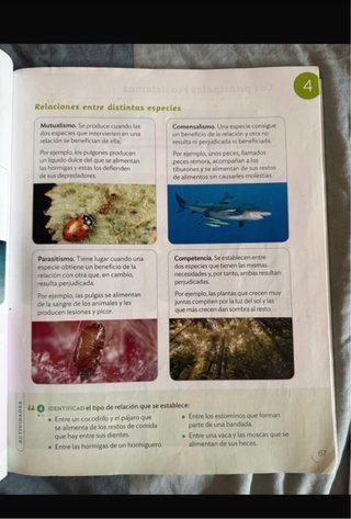 Ciencias de la Naturaleza 3 Primaria : Comunida...
