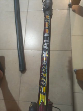 Caña de pescar con carrete y funda