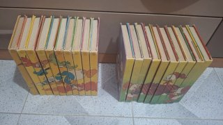 Colección libros Biblioteca Jóvenes Castores