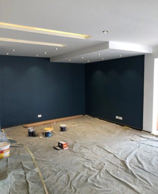 Pintor profesional 624386065