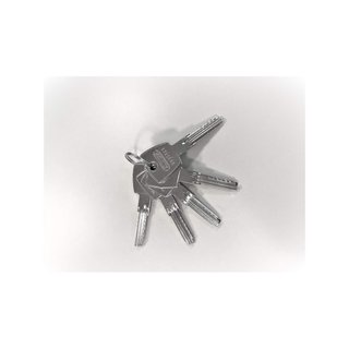 Abus cilindro sicurezza chiavi reversibili