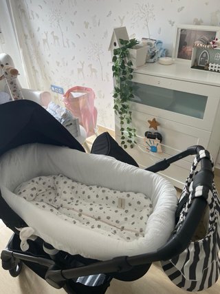 Carrito Bugaboo Fox 5