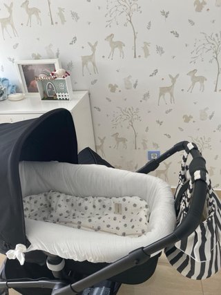 Carrito Bugaboo Fox 5