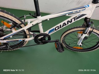 Bicicleta Giant XTC 20 "