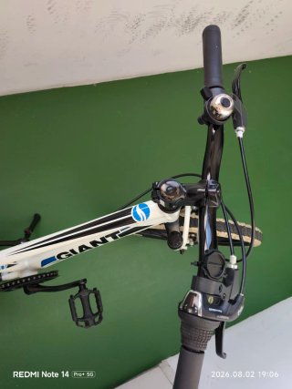 Bicicleta Giant XTC 20 "