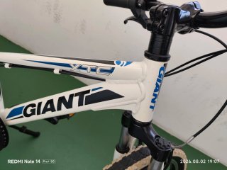 Bicicleta Giant XTC 20 "