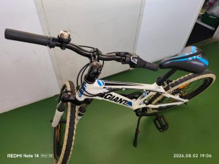 Bicicleta Giant XTC 20 "