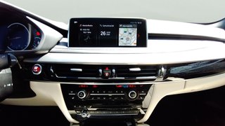 BMW X6 xDrive40d 230 kW (313 CV)