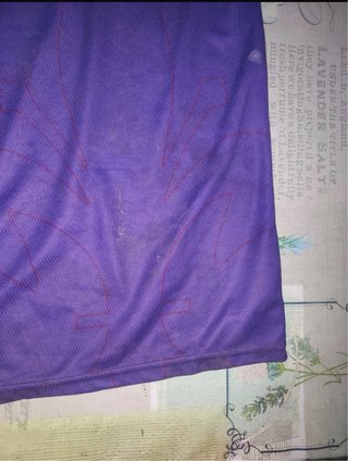 Maglia Viola Fiorentina