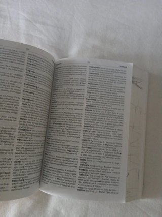 Il mio primo dizionario. Nuovo MIOT