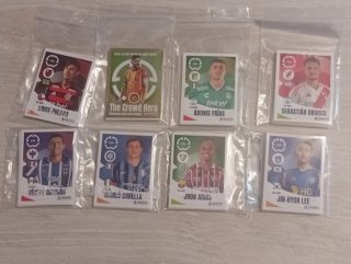 Panini FIFA Club World Cup 2025 Album Completo