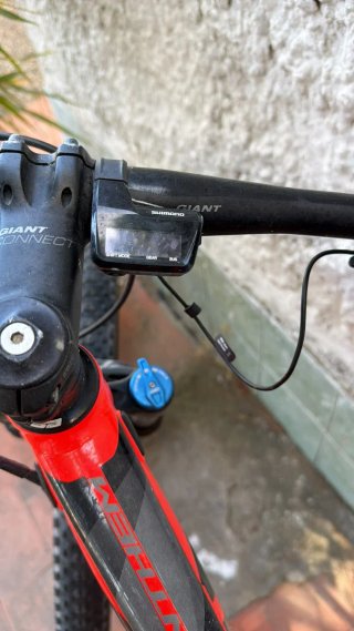 Giant Anthem 29 Fox XT Roja