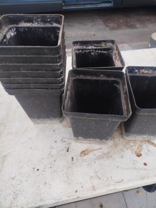 10 maceteros negros resistentes
