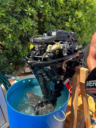 Mercury 15 CV Motor fueraborda