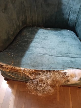 Sillón orejero verde para restaurar