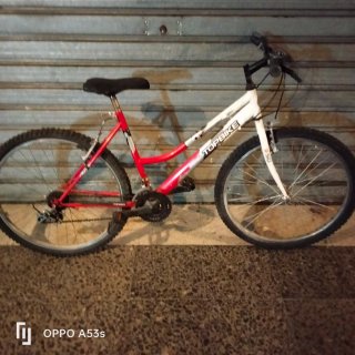 Bicicleta TOPBIKE 50 Roja y Blanca
