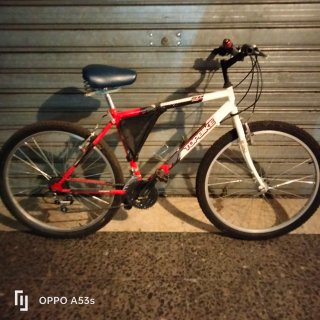 Bicicleta TOPBIKE 50 Roja y Blanca