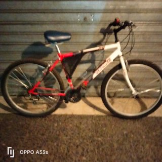 Bicicleta TOPBIKE 50 Roja y Blanca