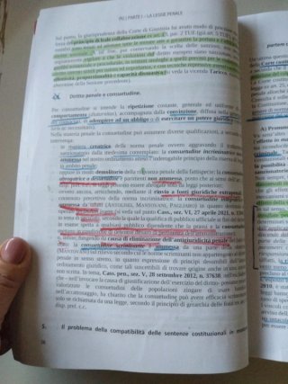 Manuale di diritto penale. Parte generale e spe...