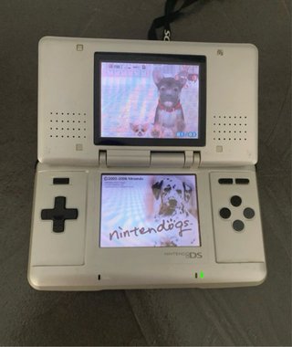 Nintendo DS Grigio VintageFunzionante