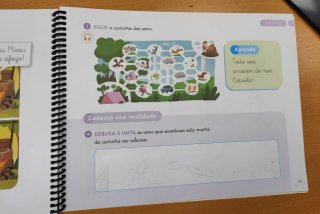 Libro Música Novo Tiroliro 1 Primaria