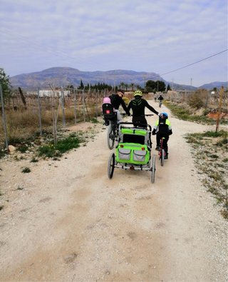 Remolque para bicicleta Speedkids 2
