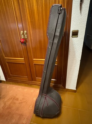 Sitar de estilo Ravi Shan. Instrumento musical