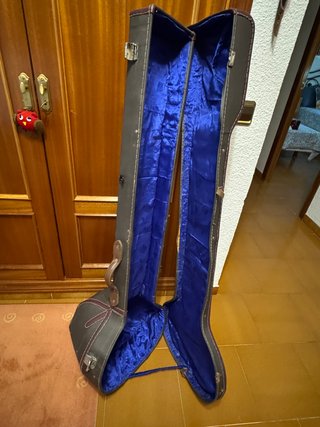 Sitar de estilo Ravi Shan. Instrumento musical