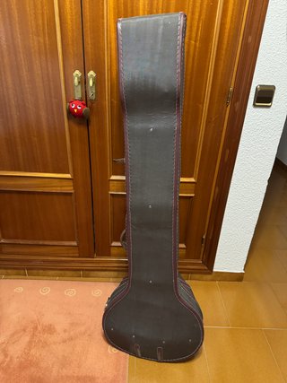 Sitar de estilo Ravi Shan. Instrumento musical