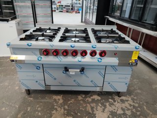 Cocina Industrial 6 Fuegos con Horno Nuevas
