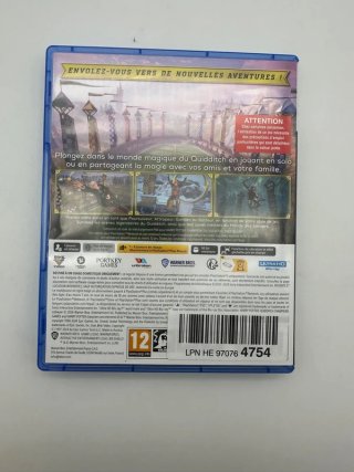 Harry Potter Campioni di Quidditch Deluxe Edition