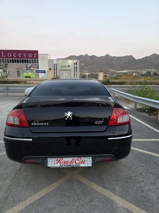 Peugeot 407 2009