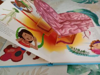 Mi Libro del Cuerpo Humano Infantil