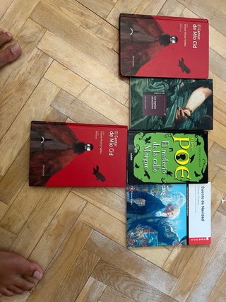 Libros lectura  ESO, edelvives, Edebe, anaya