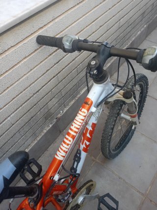 Bicicleta KTM Wild Thing 24